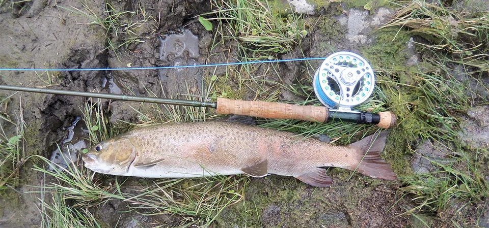 Ultra Compact Carbon Fiber Travel Fly Rod – Fast Action Freshwater Fly Fishing Pole